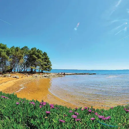 Awesome In With Wifi Вир