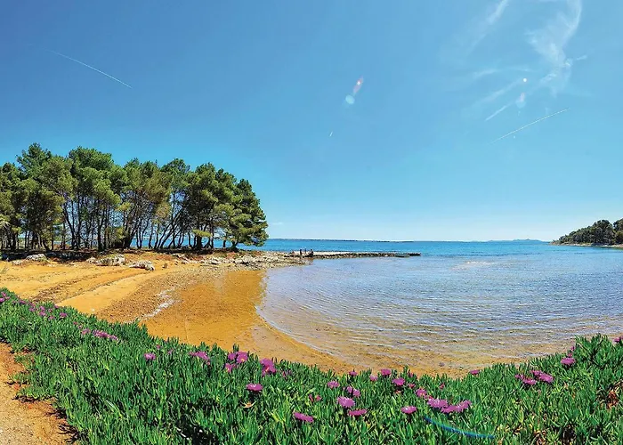 Awesome In With Wifi Вир